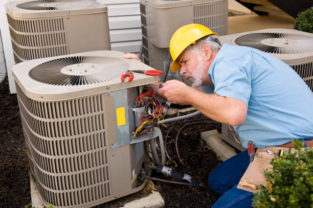 Best Affordable HVAC services  in Spring Grove, MN